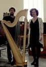 zangeres harpist