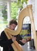 harpist arty