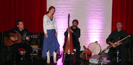 Ierse folkband