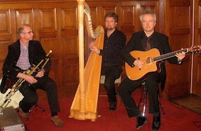 Bezwaar Kwik snor Irish music trio - viool, accordeon, doedelzak, gitaar, harp
